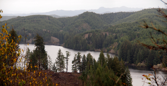 [Two photos stitched together showing the meandering shoreline and the many evergreen-covered hills beside the lake.]